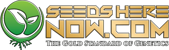 Seeds Here Now