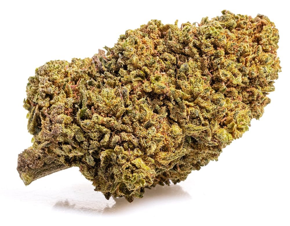 MANGO CBD BOOST – 20 g